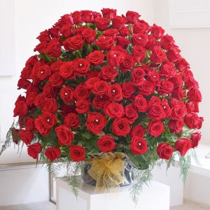 500 Red Roses