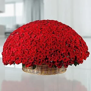 350 Red Roses Basket