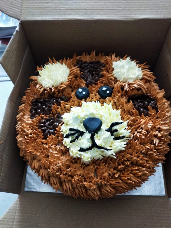 Teddy cake