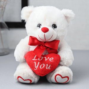 Valentines Day Special Teddy