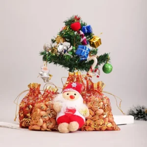 Santa Spruce And Dryfruit