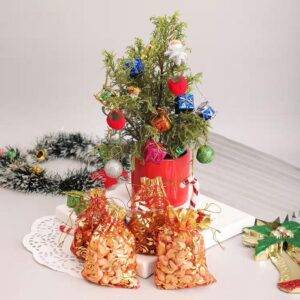 Cypress Tree With Dry Fruits