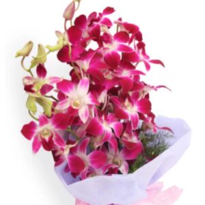 Bunch of purple orchids