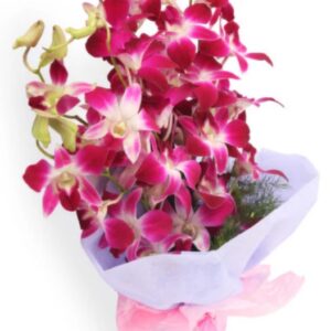 Bunch of purple orchids