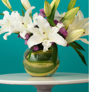 White Lilies in a Vase