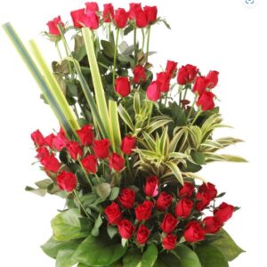 50 red roses beautifully arranged in a basket