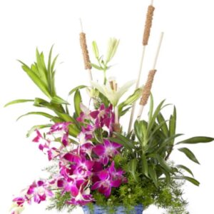 Arrangement of orchids and lilies