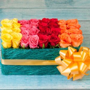 Bed of Color Roses