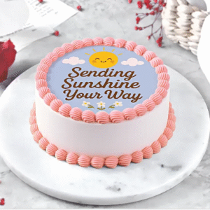 Sunshine Chocolate Dream Bento Cake