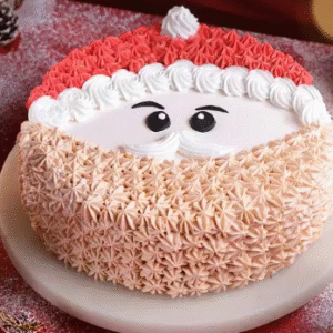 Santa Holiday Delight Cake