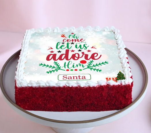 Festive Christmas Santa Photo Cake