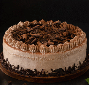 Chocolate Drizzled Cake