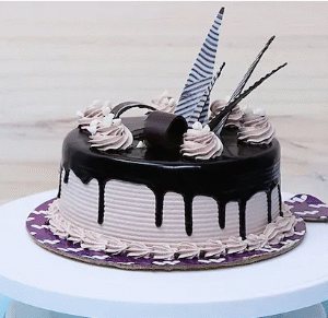Choco Nova Cake